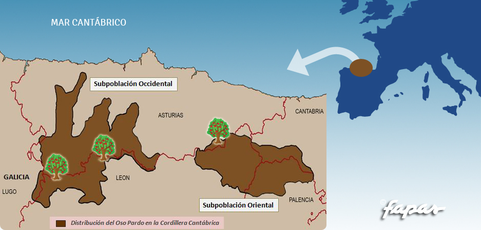 Mapa donde trabaja FAPAS en plantaciones