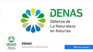 SOLICITAN  EL APOYO DE FAPAS PARA DAR A CONOCER  “DENAS”