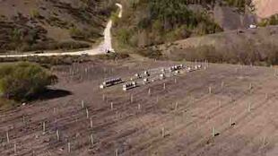 LA MINA DE CARBÓN DEL FAPAS; MÁS DE 30.000 ÁRBOLES PLANTADOS