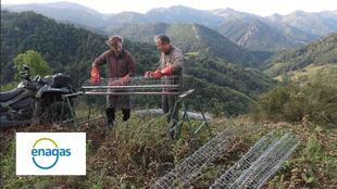 CONSERVACIÓN DEL OSO PARDO EN EL VALLE DE VALGRANDE-PAJARES